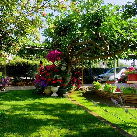 Beach Apartments Roza - The Garden Apartment Biograd Na Moru Exterior foto