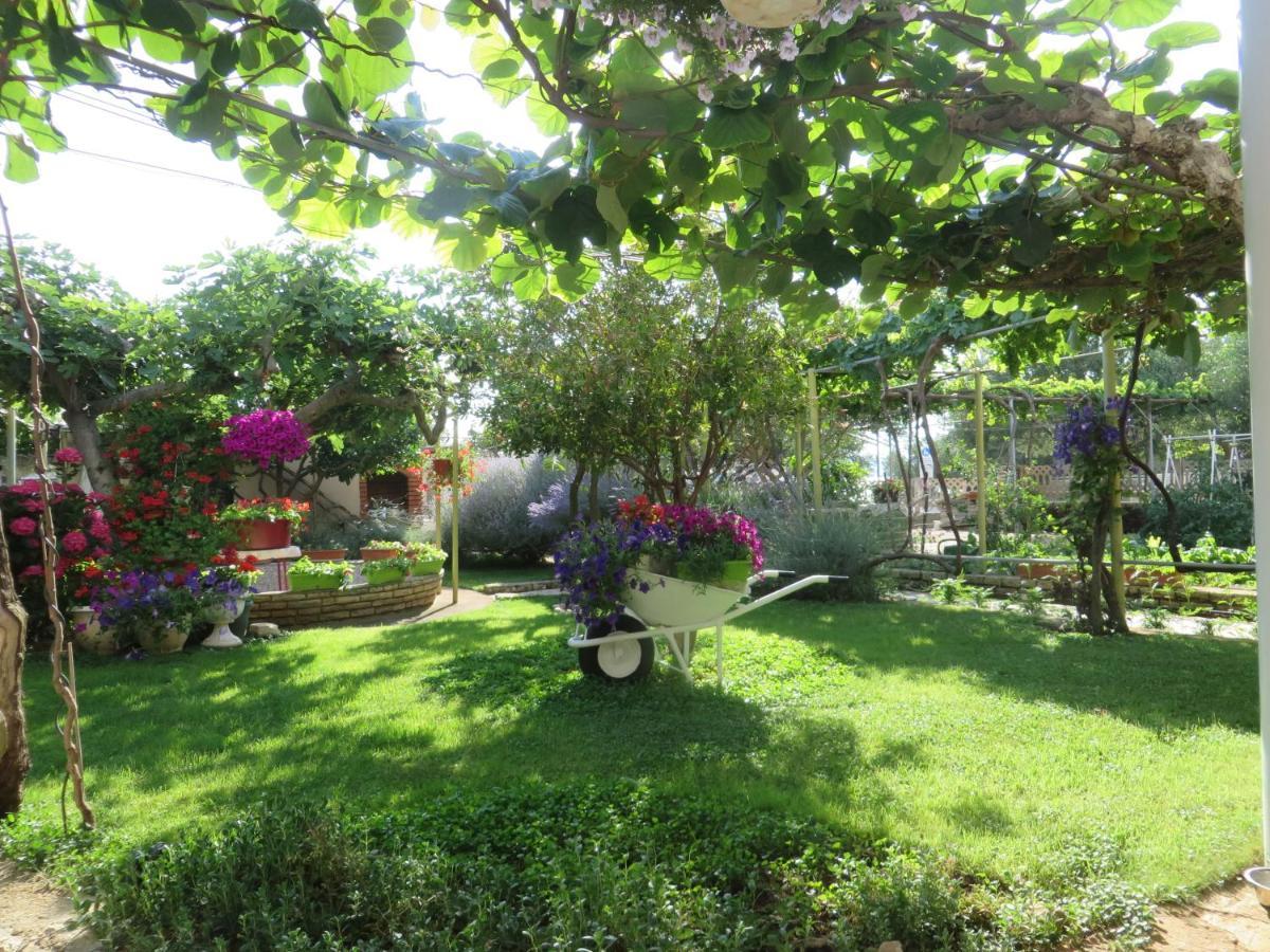 Beach Apartments Roza - The Garden Apartment Biograd Na Moru Exterior foto