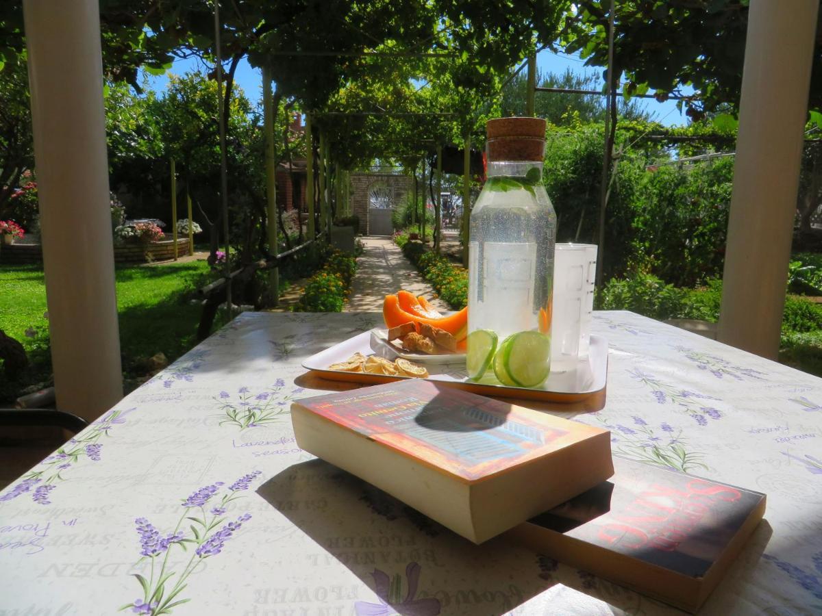 Beach Apartments Roza - The Garden Apartment Biograd Na Moru Exterior foto