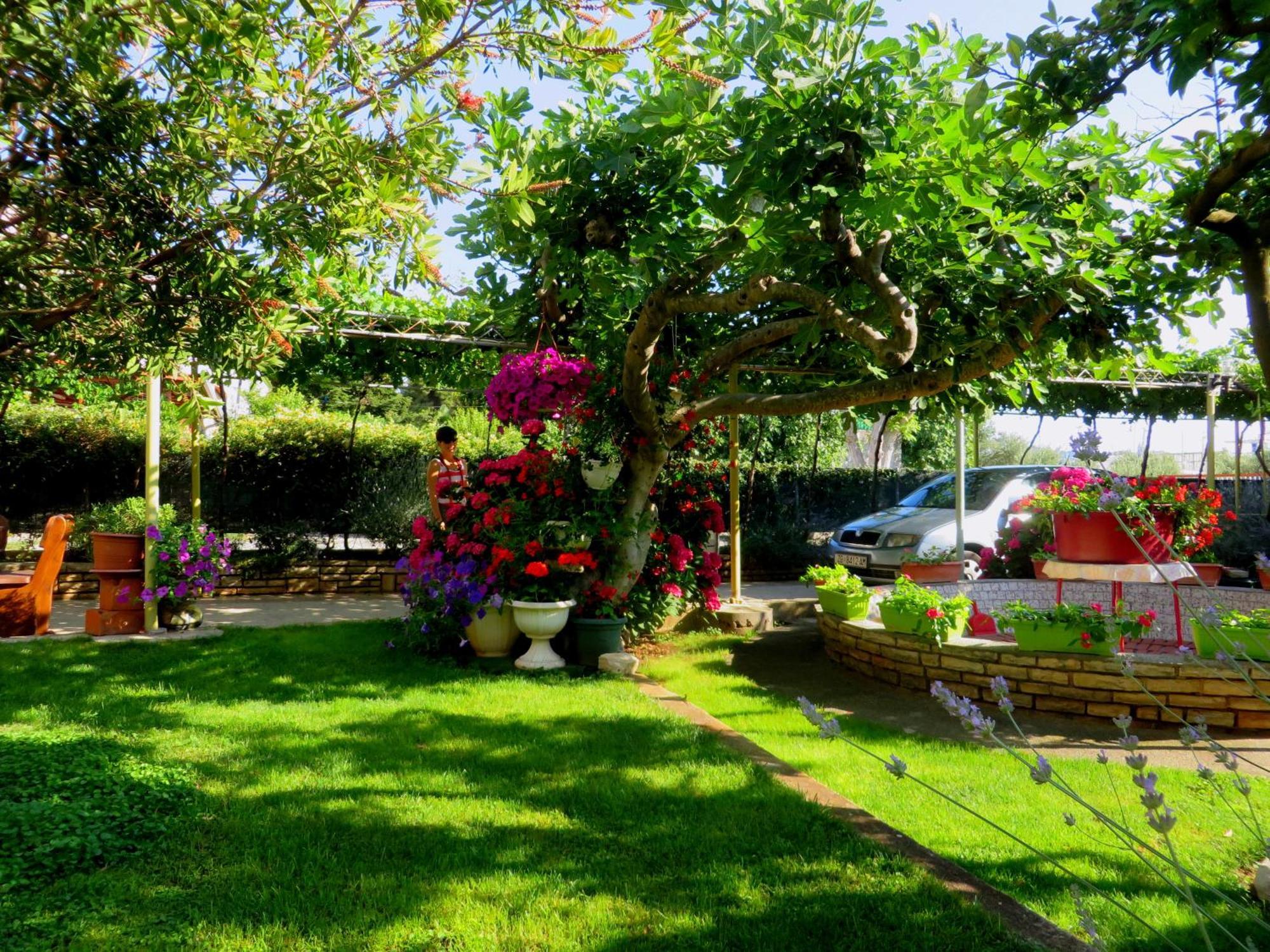 Beach Apartments Roza - The Garden Apartment Biograd Na Moru Exterior foto